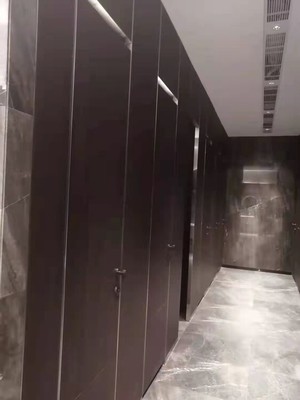 河南公廁衛生間隔斷成品材料加工廠價格解析——以掛墻板為例