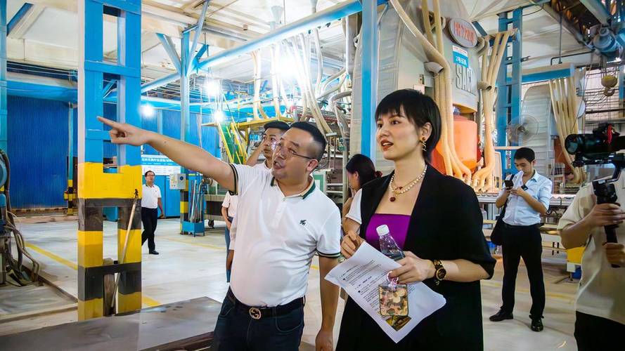 「家居一姐」設計師阿爽為金科背書!